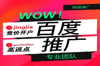 案例分享：百度推广月费成功案例